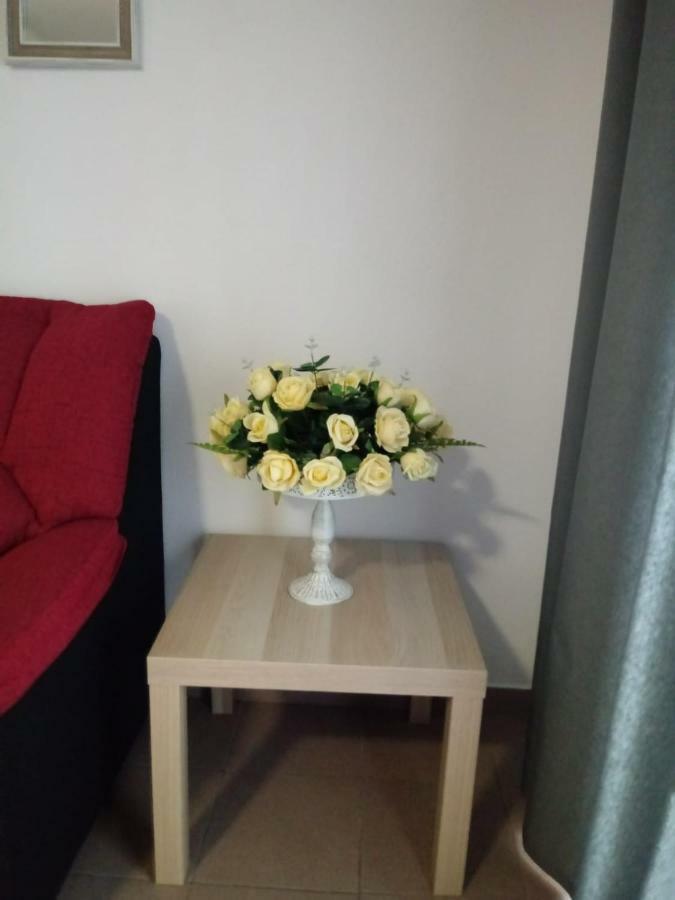 Apartamento Bediesta Santa Cruz de la Palma  Ngoại thất bức ảnh